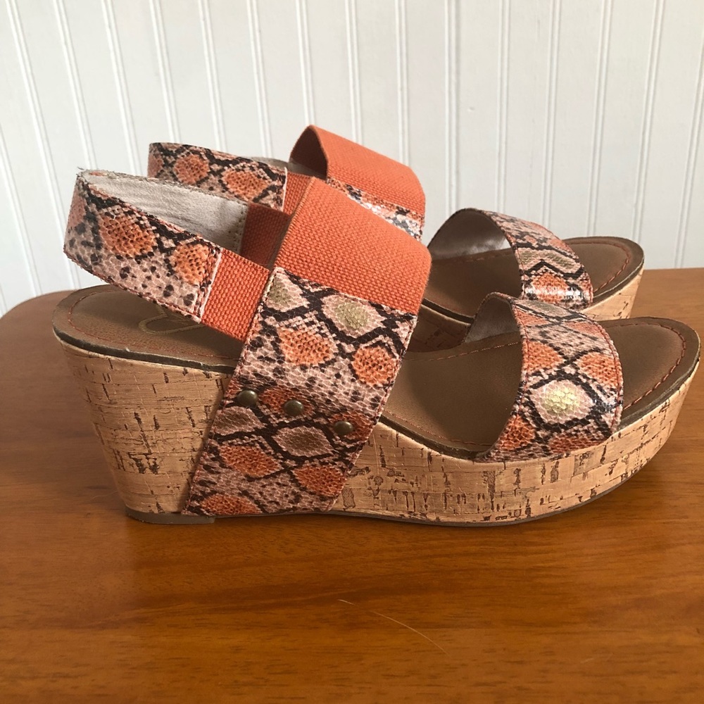 Worn ONCE! Like NEW 🌵🌸 Snake Skin Wedge Heels